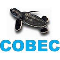 COBEC Projects logo - Similar company to Rebound Stuff