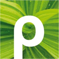 Profitplant B.V. logo - Similar company to Simba Vegetables