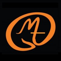 Digital Module Technologies logo - Similar company to Technoz Software