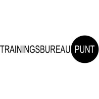 Trainingsbureau PUNT logo - Similar company to Salt Advies- En Trainingsbureau