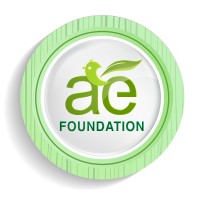 AE FOUNDATION logo - Similar company to Edficacy