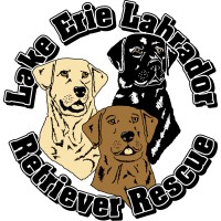 LAKE ERIE LABRADOR RETRIEVER RESCUE, INC. logo - Similar company to Rottweiler Fans