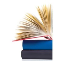 Saygon Bookkeeping Services logo - Similar company to Jmz Bookkeeping And Virtual Assistance Services
