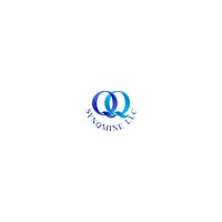 SYNQMINE Business Intelligence and Outsource CFO Services
