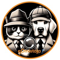 eOmistaja - Smart solutions logo - Similar company to Netfia.Com