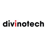 Divinotech India Private Limited logo - Similar company to Topglobe Technologies Pvt. Ltd