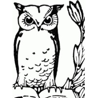 Wordwatching Editorial Services