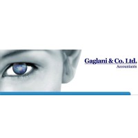 GAGLANI & CO. LTD logo - Similar company to Dmat
