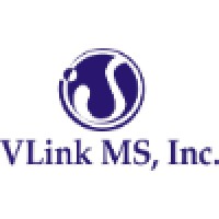 Vlink Ms Inc.