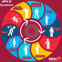 MPN Voice logo - Similar company to Mpn Research Foundation