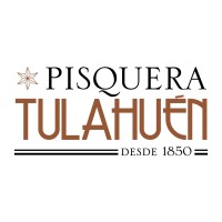 Pisquera Tulahuen logo - Similar company to Dgi Process