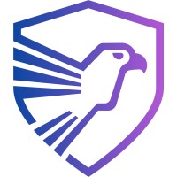 White Hawk Solutions logo - Similar company to Cst Limited (Computer Security Technology)