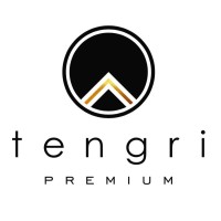 Tengri atelier logo - Similar company to Osh State University