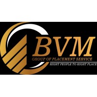 Bvm group of placement services logo - Similar company to Careerchalk