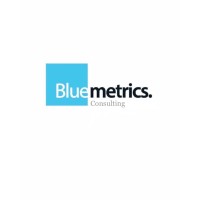 Bluemetrics Consulting logo - Similar company to Bluemetrics