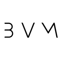 Bird Vision Media logo - Similar company to Puzzles