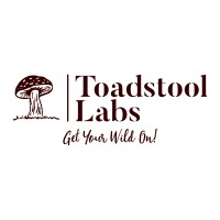 Toadstool Labs Inc logo - Similar company to Harris Teeter