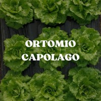 Ortomio Capolago logo - Similar company to Masterplant Sur Spa
