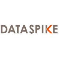 DataSpike logo - Similar company to Bumbleb.Tech
