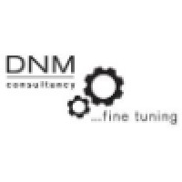 Dnm Business Consultancy Limited