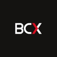 BCX Botswana logo - Similar company to Tech-On,Tech-Off