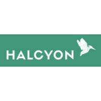 Halcyon Finance & Accounting Recruitment logo - Similar company to Valor Search