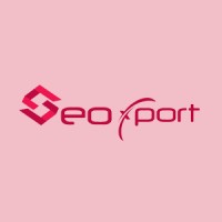 Seoxport logo - Similar company to Infoidea