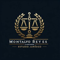 Montalvo Reyes & Asociados logo - Similar company to Opermin