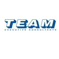 Team Executive Consultants logo - Similar company to Accounting Evolution Pty Ltd