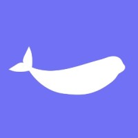 belugee logo - Similar company to Spot Group