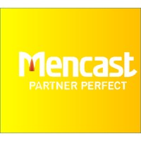Mencast Holdings Ltd logo - Similar company to Excelforte