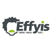 EFFYIS B.V. logo - Similar company to Effyis Group