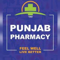 Punjab Pharmacy Lahore logo - Similar company to Bashir Sons Pharmacy