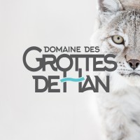 Domaine des Grottes de Han logo - Similar company to Pairi Daiza