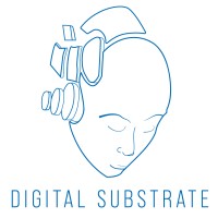 Digital Substrate logo - Similar company to Archicorp-It