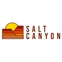 SaltCanyon logo - Similar company to Workbay