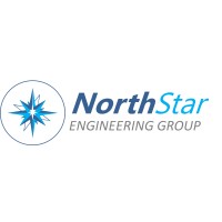 NS Engineering Group logo - Similar company to Crypto Rich