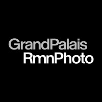 GrandPalaisRmnPhoto logo - Similar company to S.F.E.R