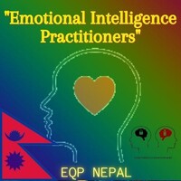 Emotional Intelligence Practitioners logo - Similar company to Aadim National College