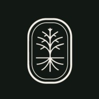 Nolia Roots logo - Similar company to Evviva Studio