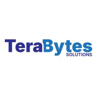 Terabytes Solutions logo - Similar company to Bullion It
