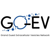 GO-EV logo - Similar company to Crci2Na