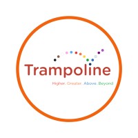 The Trampoline Group logo - Similar company to Export Boot Camps