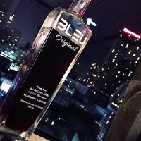BLEU Vodka logo - Similar company to Hl Vodka