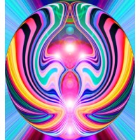 Wolfryd Collection logo - Similar company to Bytco™ B2B Retail Solutions