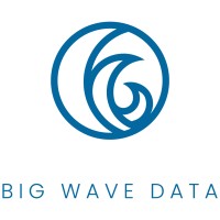 Big Wave Data logo - Similar company to Tourific
