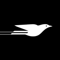 Blac3ird logo - Similar company to Wd Morgan Solutions