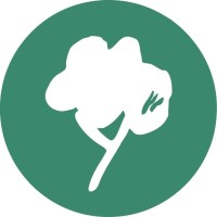 Timberplay Ltd logo - Similar company to Accessibleuk