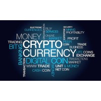 Cryptocurrency - The New Money logo - Similar company to Busha Law Firm