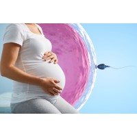Dr. Neha Gupta IVF logo - Similar company to Mediworld Fertility